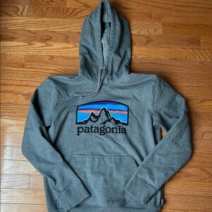 Patagonia Gray Hoodie with Logo Design